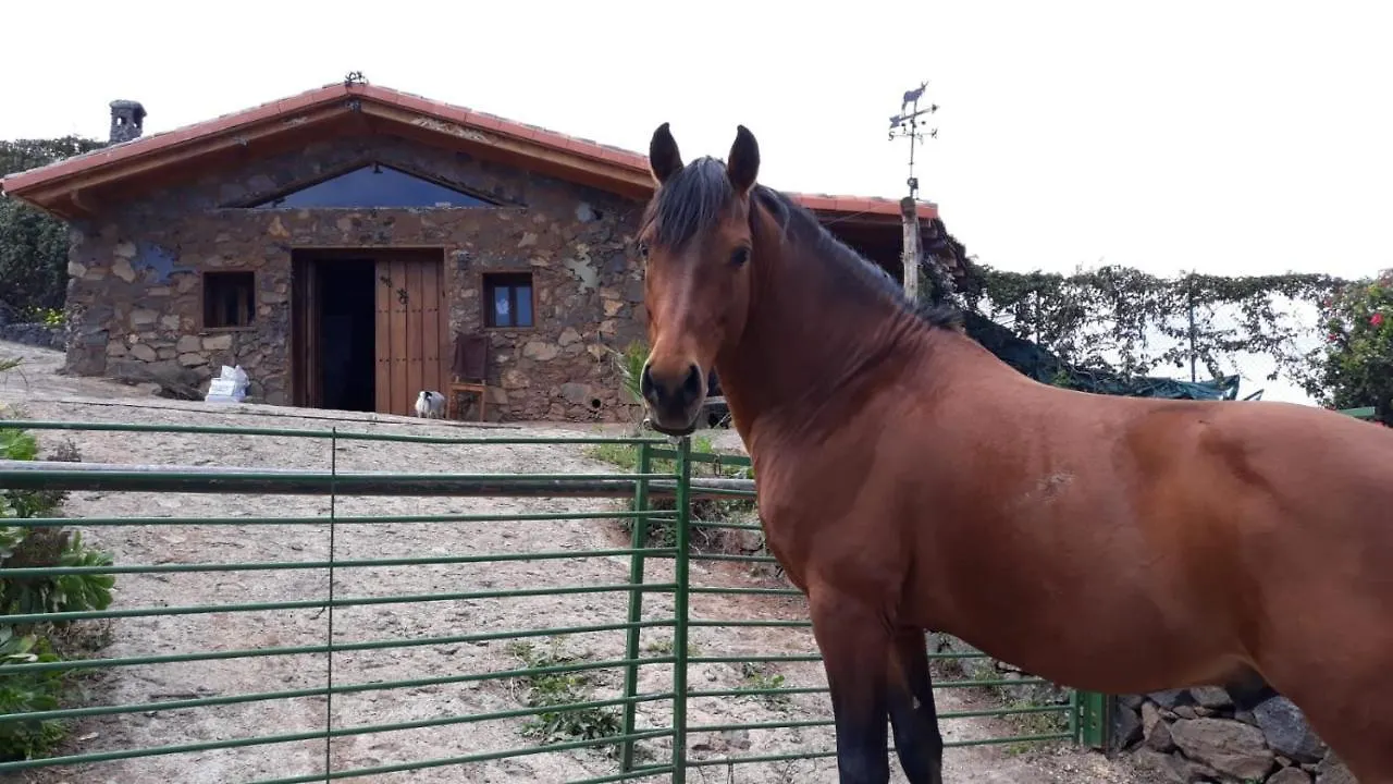 Finca Rural House Tenerife Relax And Enjoy Santa Úrsula