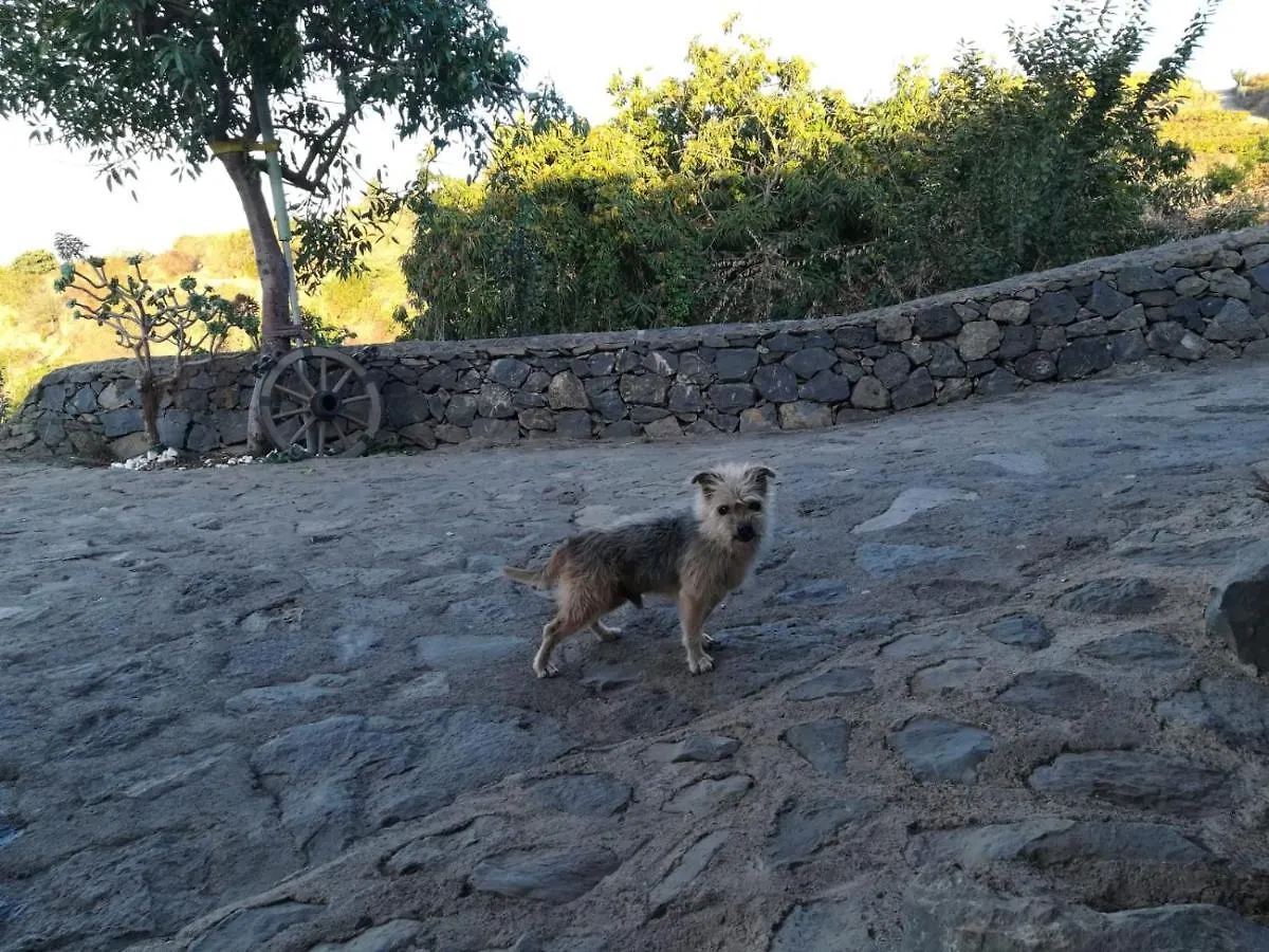 Finca Rural House Tenerife Relax And Enjoy Santa Úrsula Espanha