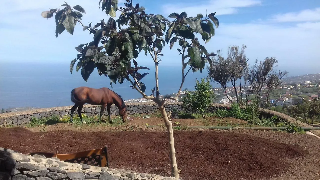 Casa de Campo Finca Rural House Tenerife Relax And Enjoy Santa Úrsula Espanha